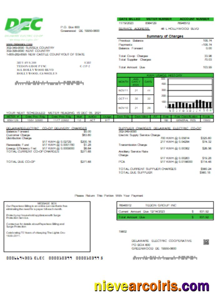 Delaware Electric Co-op utility business bill